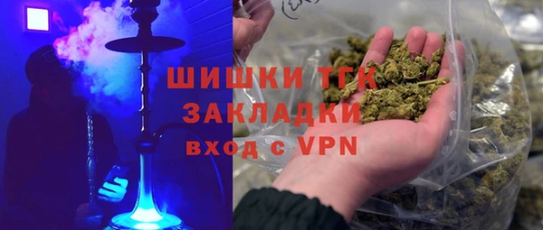 apvp Бородино