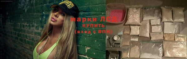 apvp Бородино