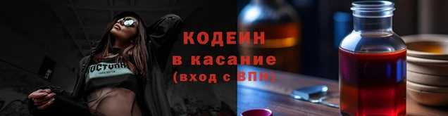 apvp Бородино