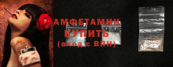 apvp Бородино