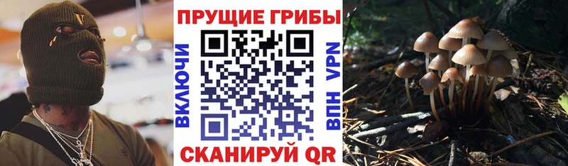 гидра ТОР  Навашино  Галлюциногенные грибы MAGIC MUSHROOMS 