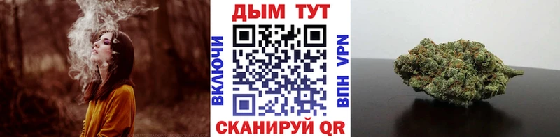 Шишки марихуана гибрид  купить наркоту  Навашино 